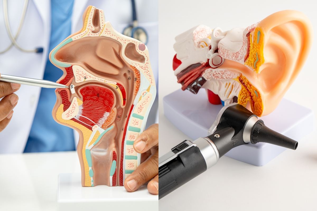 ENT Treatment